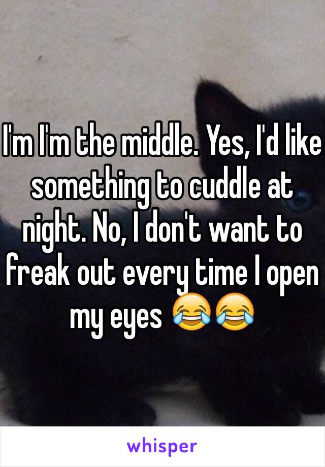 I'm I'm the middle. Yes, I'd like something to cuddle at night. No, I don't want to freak out every time I open my eyes 😂😂