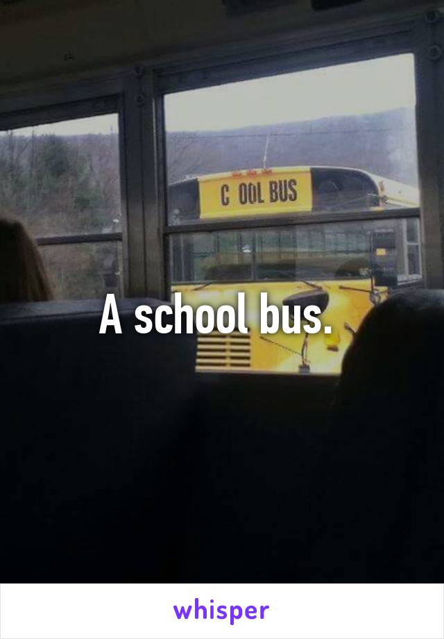 A school bus. 