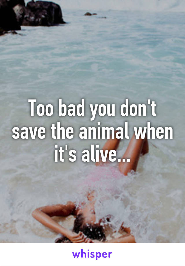 Too bad you don't save the animal when it's alive...