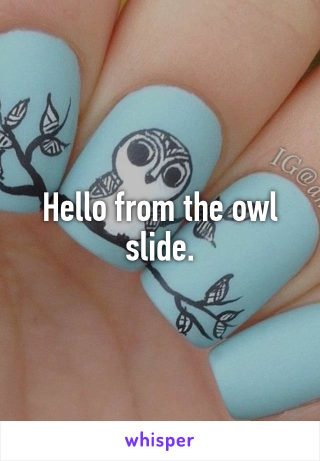 Hello from the owl slide.