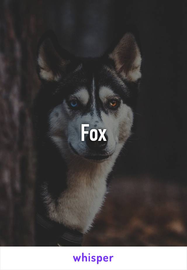 Fox