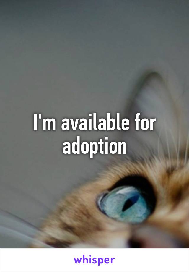 I'm available for adoption