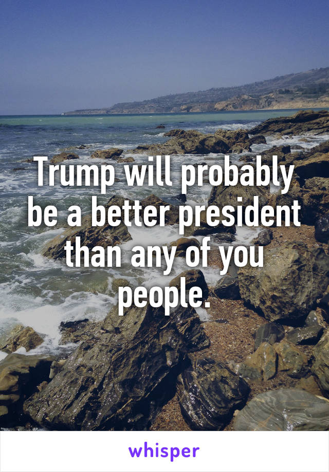 Trump will probably be a better president than any of you people.