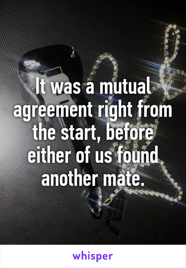 It was a mutual agreement right from the start, before either of us found another mate.