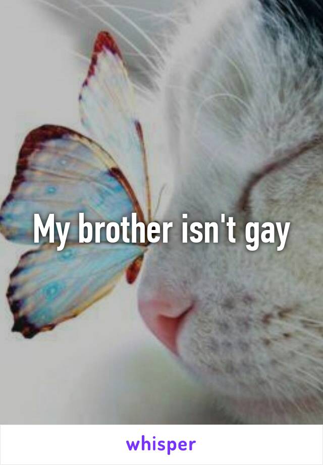 My brother isn't gay