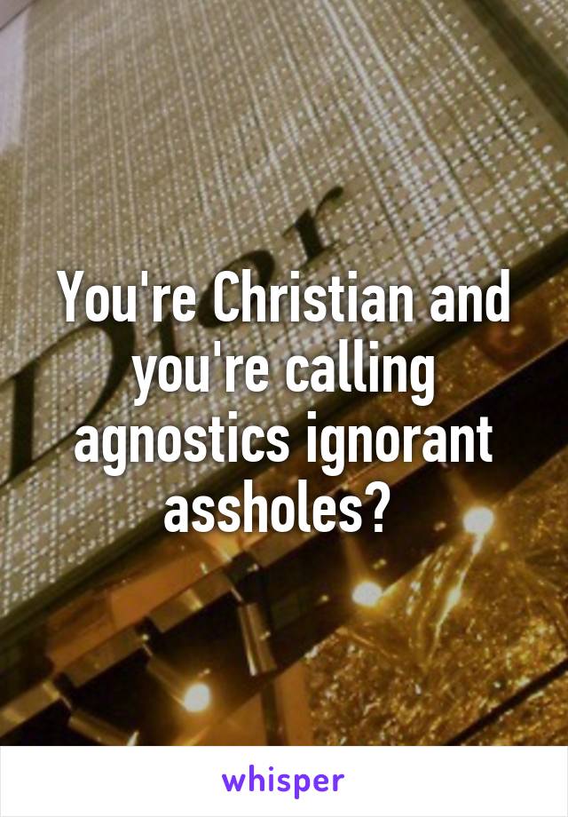 You're Christian and you're calling agnostics ignorant assholes? 