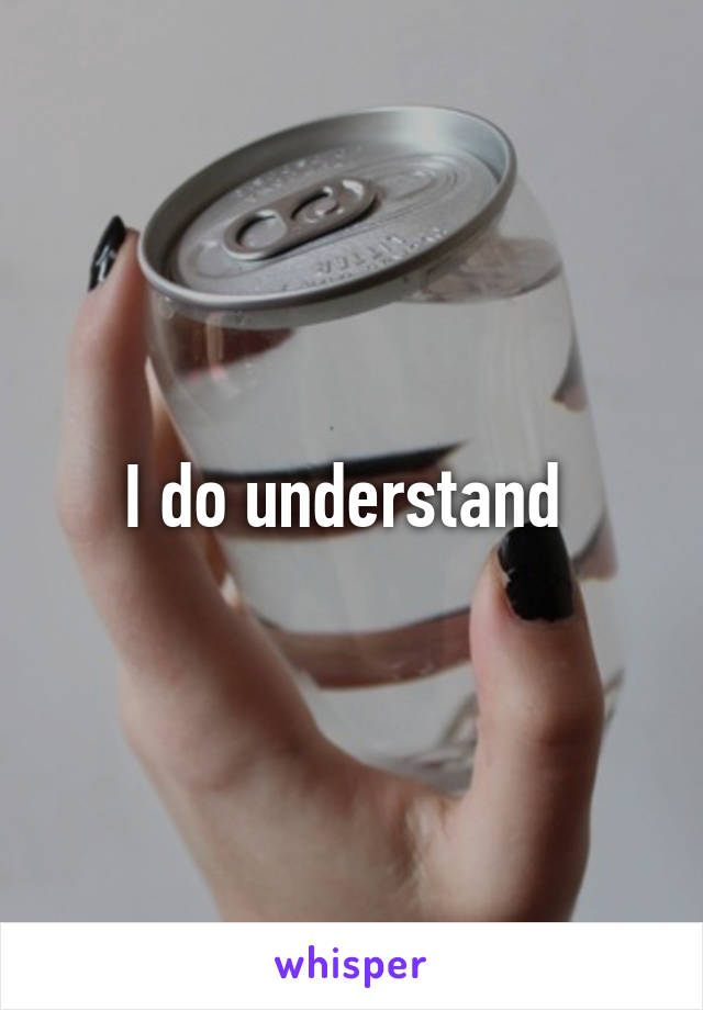 I do understand 