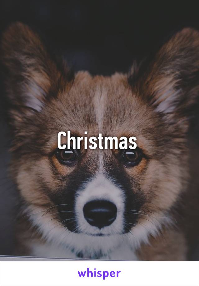 Christmas 