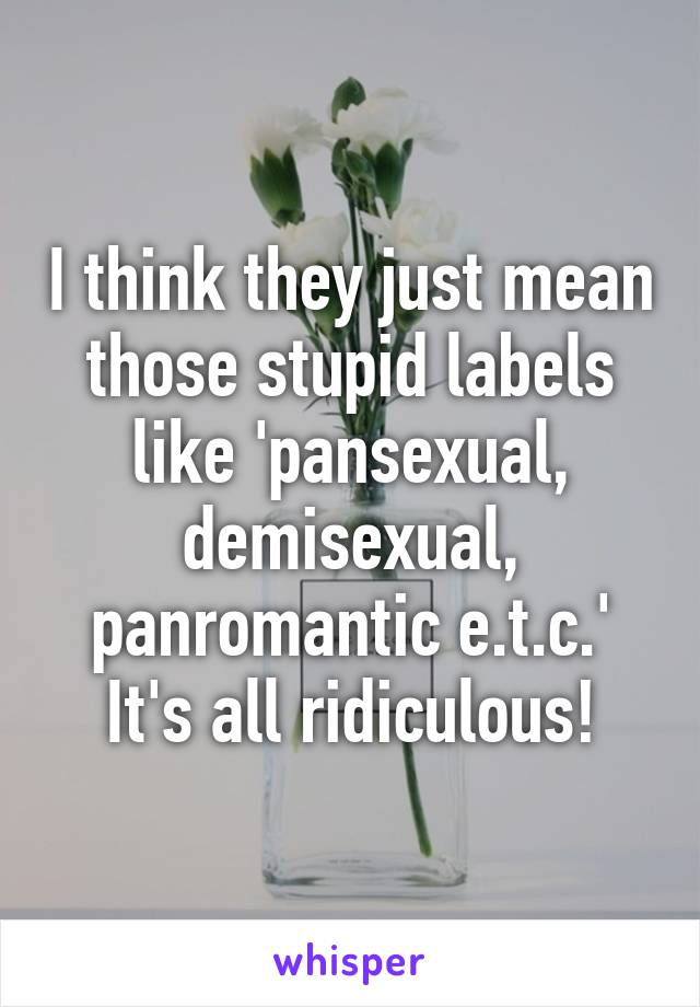 I think they just mean those stupid labels like 'pansexual, demisexual, panromantic e.t.c.' It's all ridiculous!