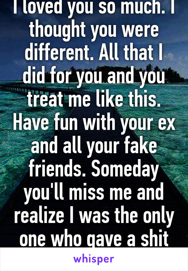 I loved you so much. I thought you were different. All that I did for you and you treat me like this. Have fun with your ex and all your fake friends. Someday you'll miss me and realize I was the only one who gave a shit about you. 