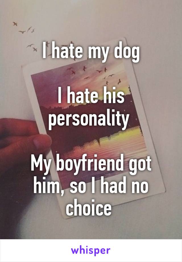 I hate my dog

I hate his personality 

My boyfriend got him, so I had no choice 