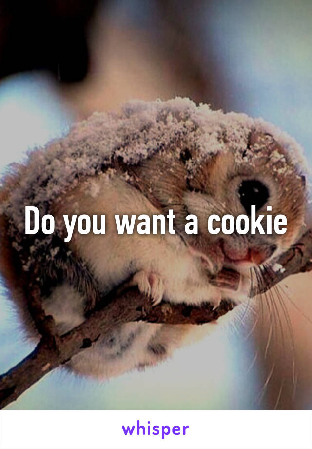 Do you want a cookie
