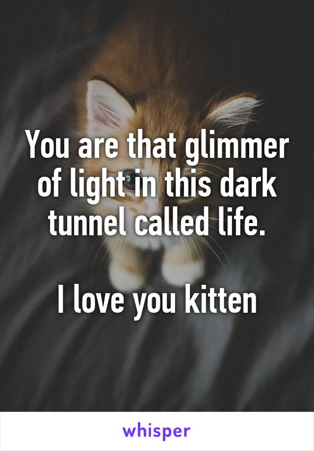 You are that glimmer of light in this dark tunnel called life.

I love you kitten