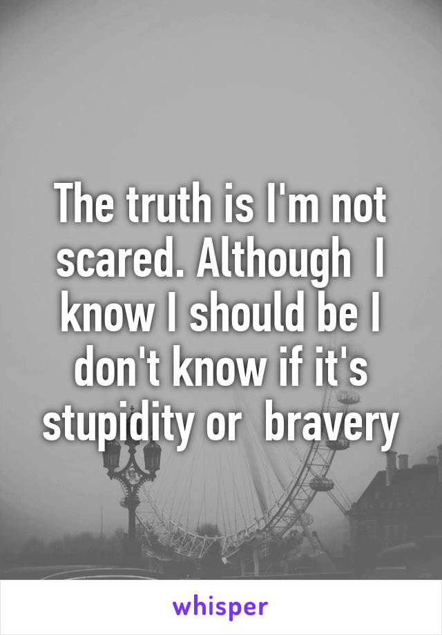 The truth is I'm not scared. Although  I know I should be I don't know if it's stupidity or  bravery