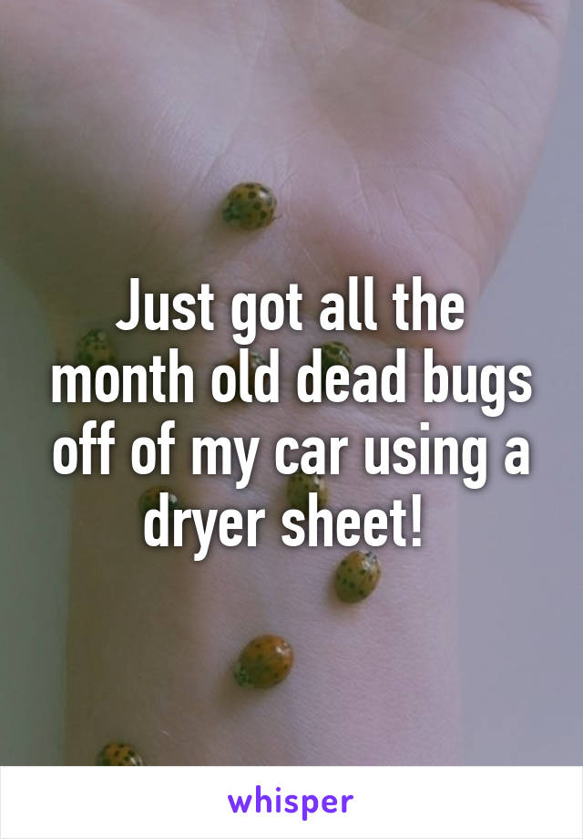 Just got all the month old dead bugs off of my car using a dryer sheet! 