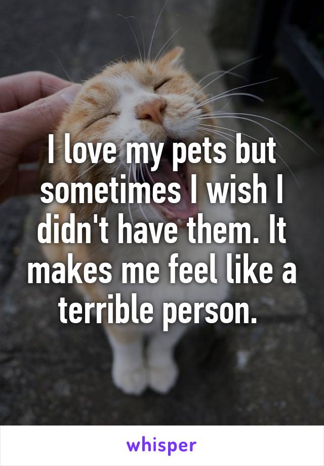 I love my pets but sometimes I wish I didn't have them. It makes me feel like a terrible person. 