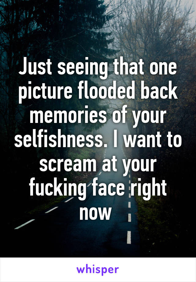 Just seeing that one picture flooded back memories of your selfishness. I want to scream at your fucking face right now 