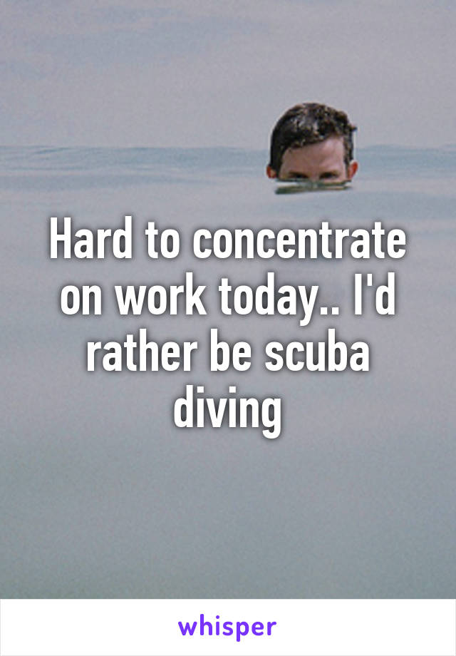 Hard to concentrate on work today.. I'd rather be scuba diving