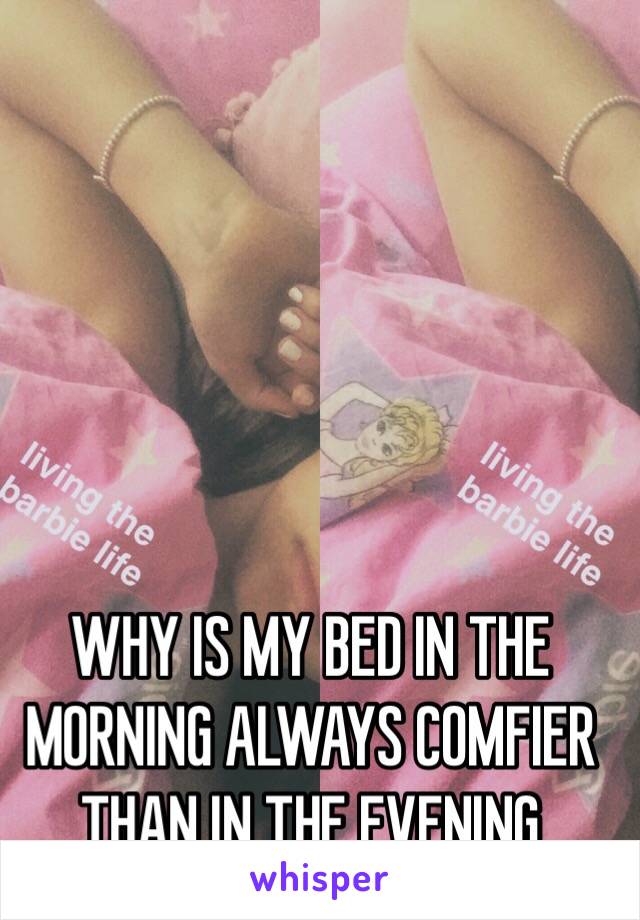 WHY IS MY BED IN THE MORNING ALWAYS COMFIER THAN IN THE EVENING 