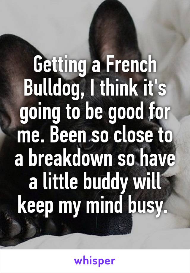 Getting a French Bulldog, I think it's going to be good for me. Been so close to a breakdown so have a little buddy will keep my mind busy. 