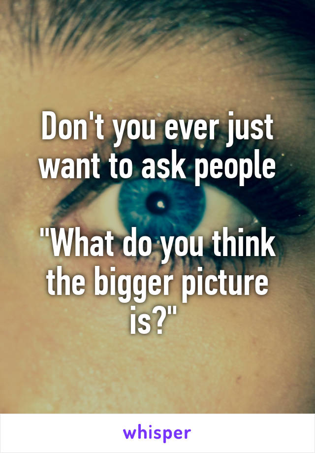Don't you ever just want to ask people

"What do you think the bigger picture is?" 
