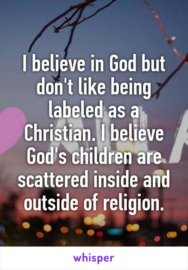I believe in God but don't like being labeled as a Christian. I believe God's children are scattered inside and outside of religion.