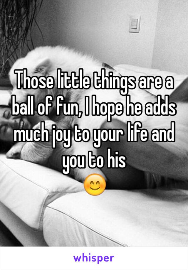 Those little things are a ball of fun, I hope he adds much joy to your life and you to his 
😊