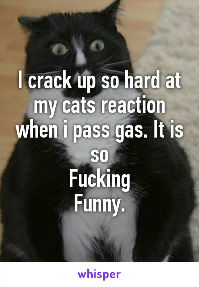 I crack up so hard at my cats reaction when i pass gas. It is so
Fucking
Funny.