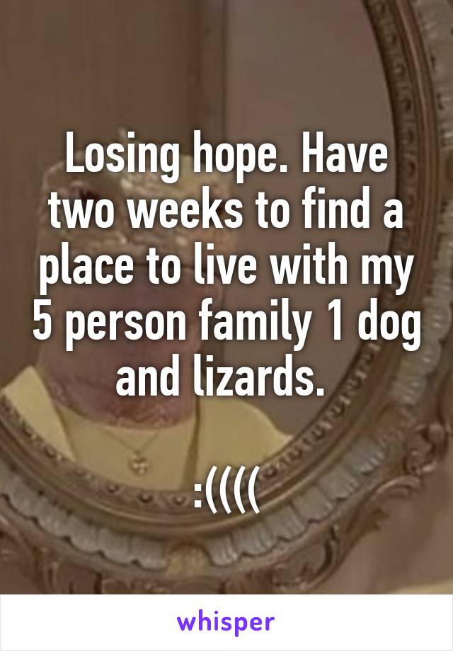 Losing hope. Have two weeks to find a place to live with my 5 person family 1 dog and lizards. 

:((((