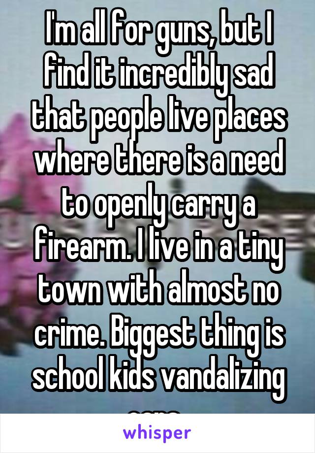 I'm all for guns, but I find it incredibly sad that people live places where there is a need to openly carry a firearm. I live in a tiny town with almost no crime. Biggest thing is school kids vandalizing cars. 