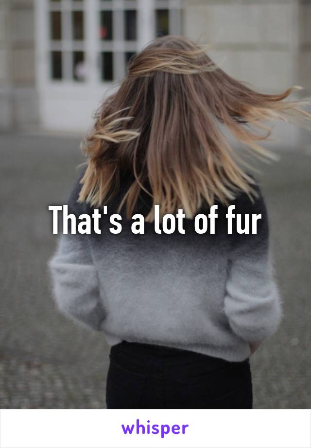 That's a lot of fur