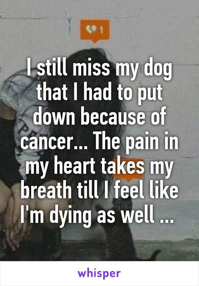 I still miss my dog that I had to put down because of cancer... The pain in my heart takes my breath till I feel like I'm dying as well ... 