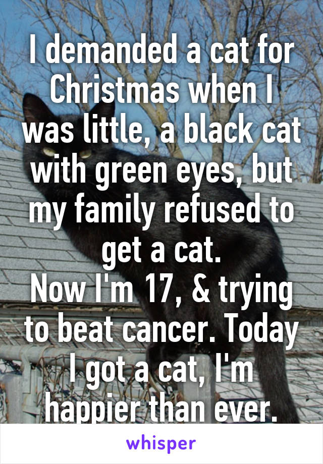 I demanded a cat for Christmas when I was little, a black cat with green eyes, but my family refused to get a cat.
Now I'm 17, & trying to beat cancer. Today I got a cat, I'm happier than ever.