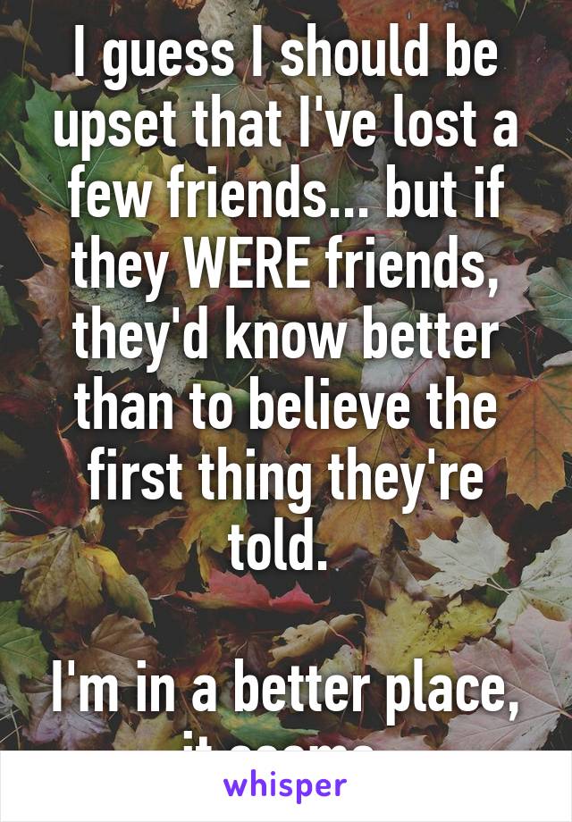 I guess I should be upset that I've lost a few friends... but if they WERE friends, they'd know better than to believe the first thing they're told. 

I'm in a better place, it seems.