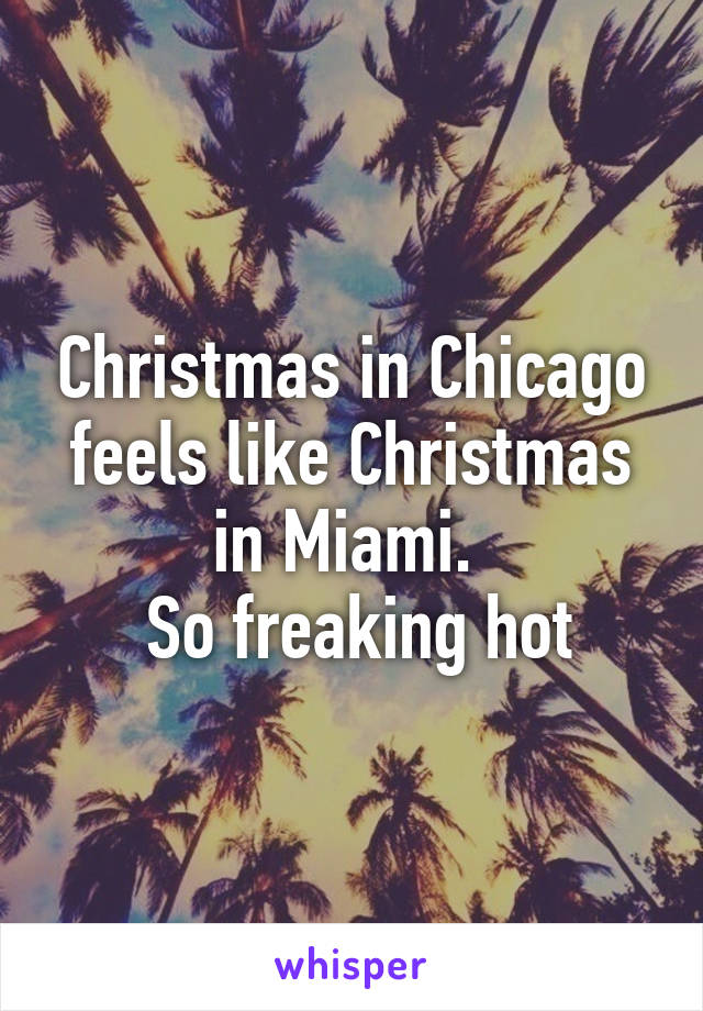Christmas in Chicago feels like Christmas in Miami. 
 So freaking hot