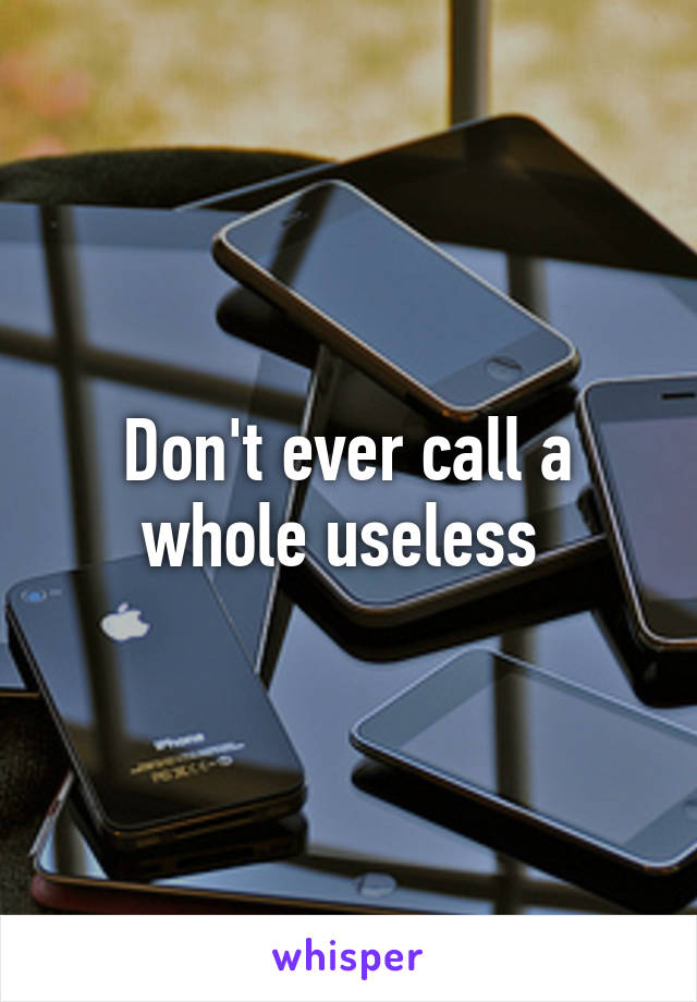 Don't ever call a whole useless 