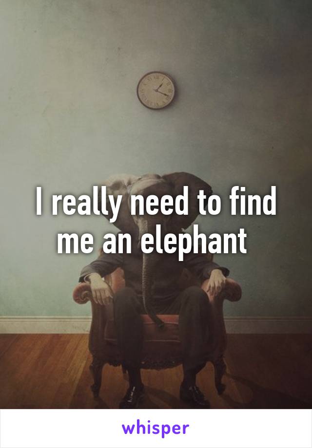 I really need to find me an elephant 