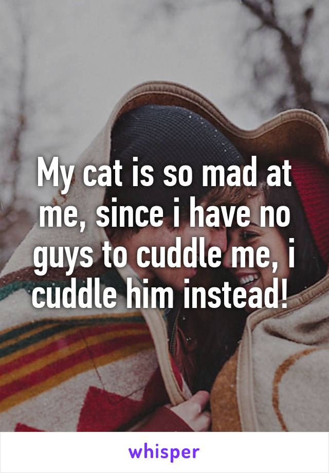 My cat is so mad at me, since i have no guys to cuddle me, i cuddle him instead! 