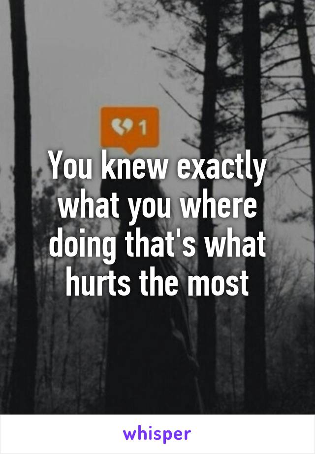 You knew exactly what you where doing that's what hurts the most