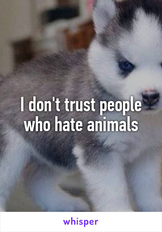 I don't trust people who hate animals