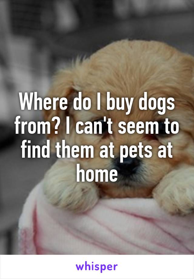 Where do I buy dogs from? I can't seem to find them at pets at home