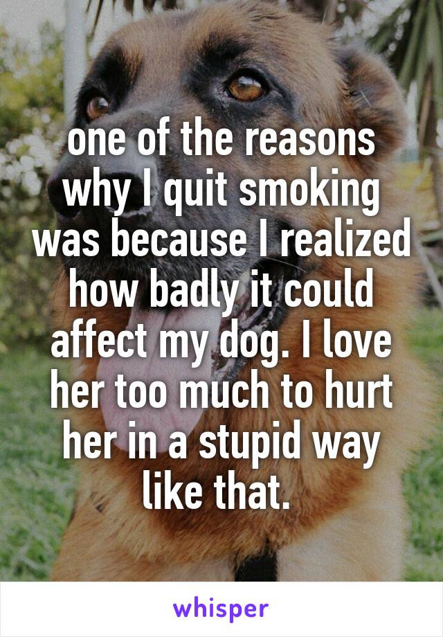 one of the reasons why I quit smoking was because I realized how badly it could affect my dog. I love her too much to hurt her in a stupid way like that. 