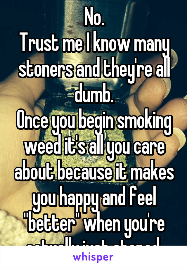 No.
Trust me I know many stoners and they're all dumb.
Once you begin smoking weed it's all you care about because it makes you happy and feel "better" when you're actually just stoned 