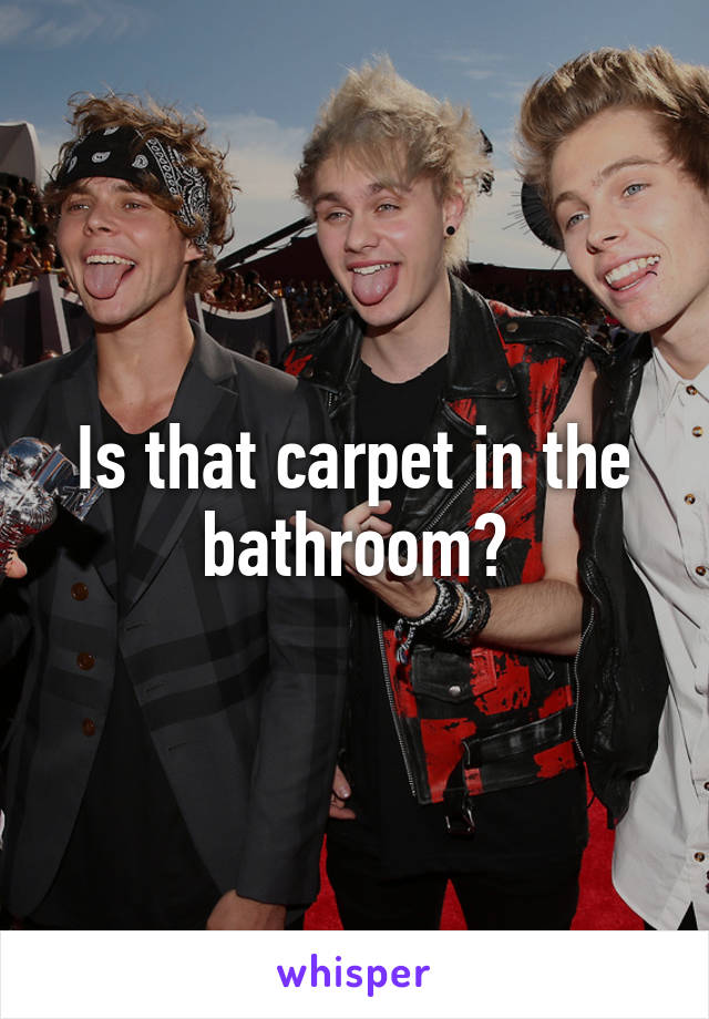 Is that carpet in the bathroom?