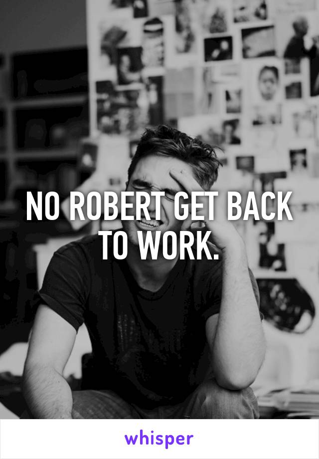 NO ROBERT GET BACK TO WORK.