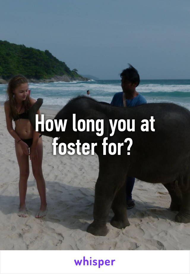 How long you at foster for? 
