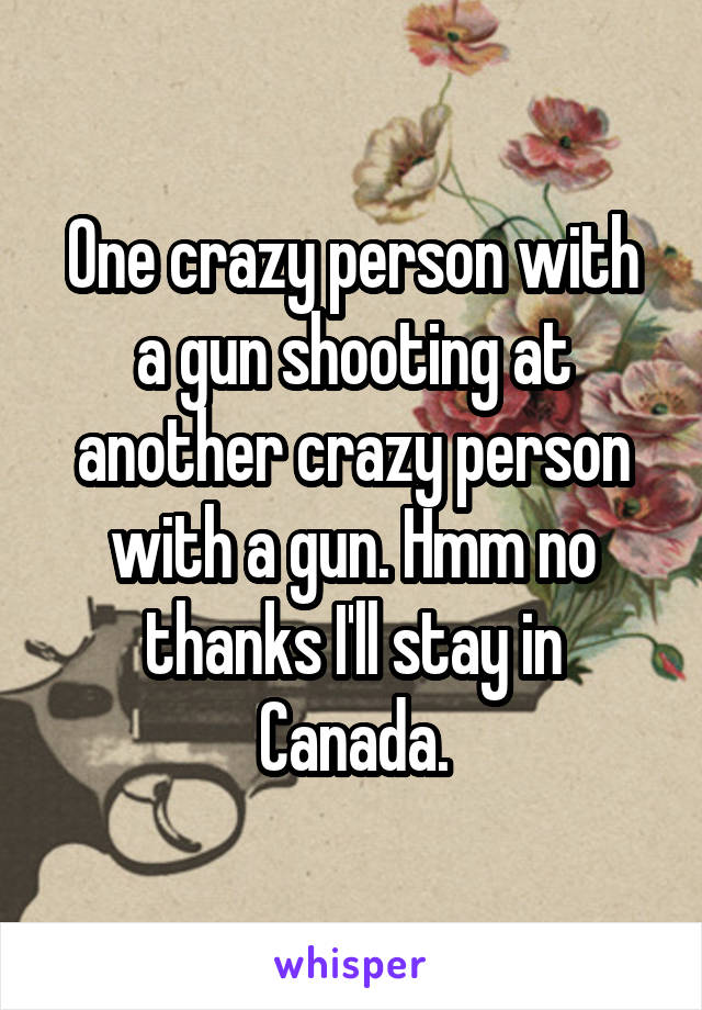 One crazy person with a gun shooting at another crazy person with a gun. Hmm no thanks I'll stay in Canada.