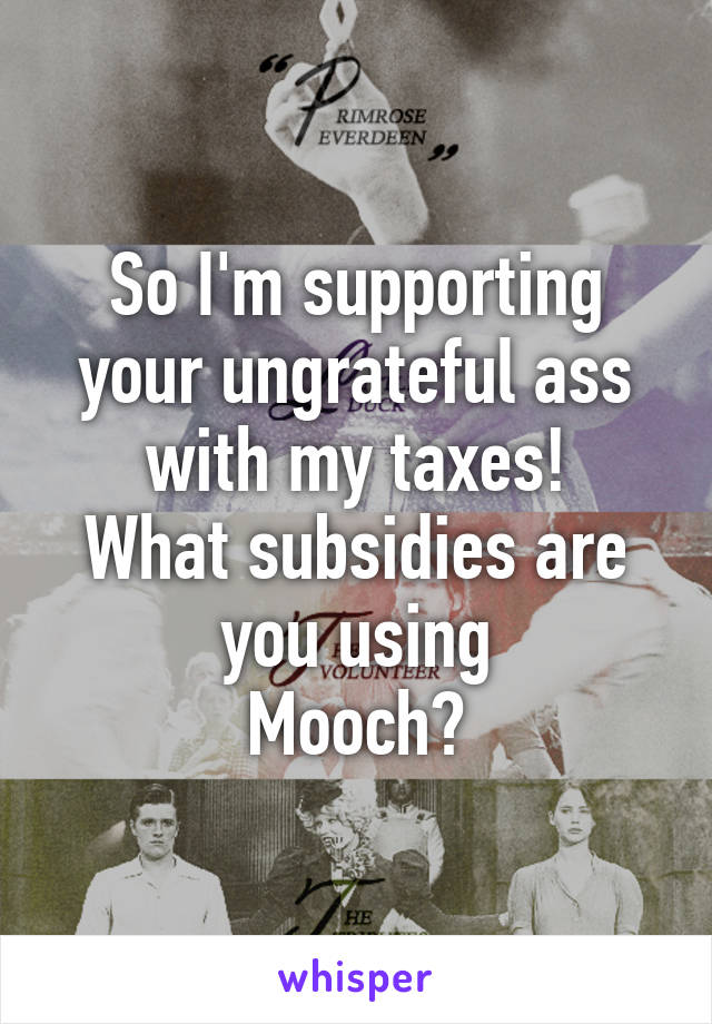 So I'm supporting your ungrateful ass with my taxes!
What subsidies are you using
Mooch?