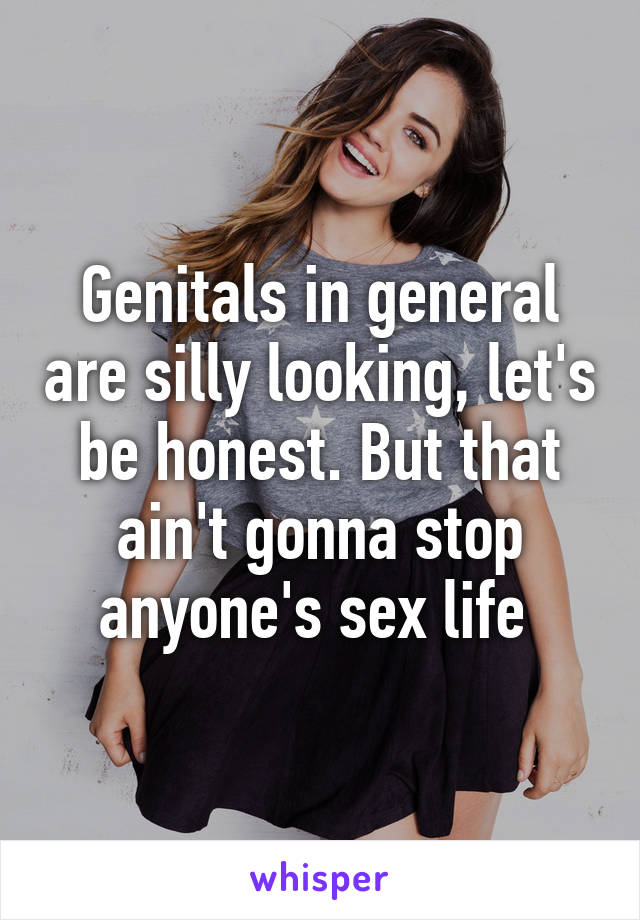 Genitals in general are silly looking, let's be honest. But that ain't gonna stop anyone's sex life 