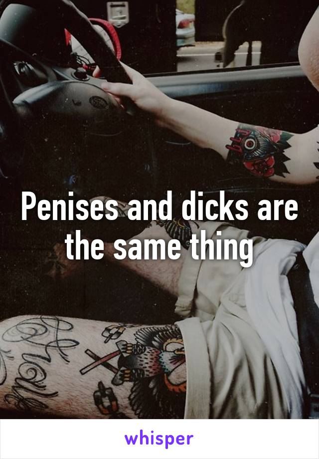 Penises and dicks are the same thing